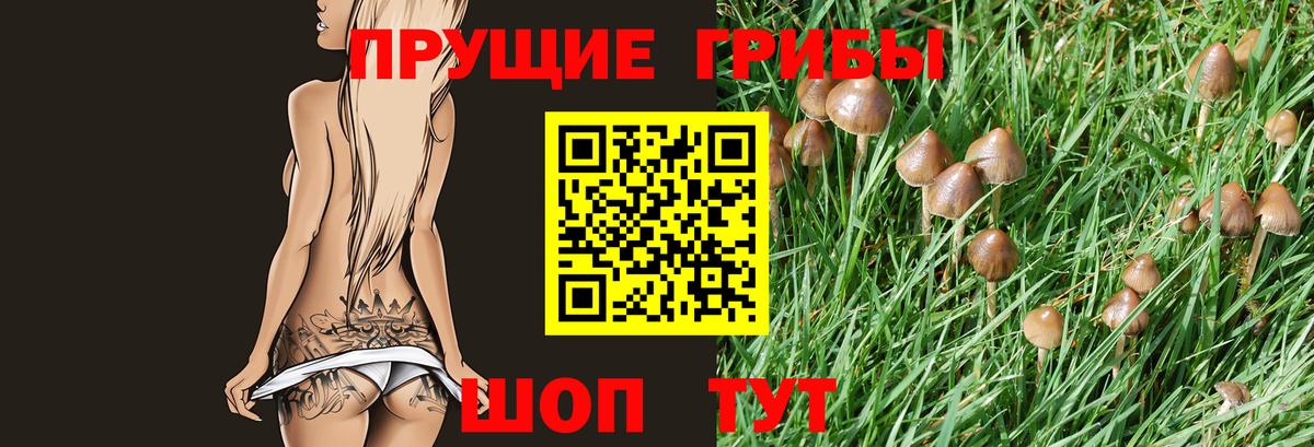 Псилоцибиновые грибы мухоморы Усинск
