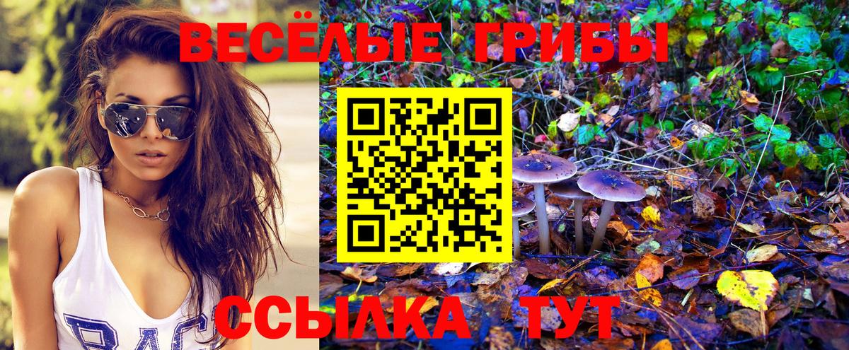 Псилоцибиновые грибы Psilocybe  дарнет шоп  Усинск  Вход с VPN 